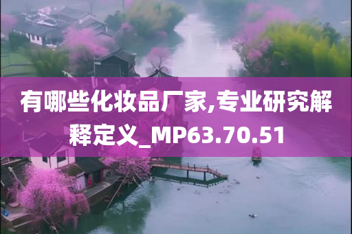 有哪些化妆品厂家,专业研究解释定义_MP63.70.51