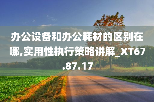 办公设备和办公耗材的区别在哪,实用性执行策略讲解_XT67.87.17