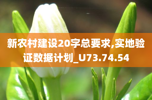 新农村建设20字总要求,实地验证数据计划_U73.74.54