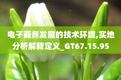 电子商务发展的技术环境,实地分析解释定义_GT67.15.95