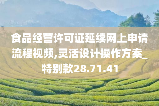 食品经营许可证延续网上申请流程视频,灵活设计操作方案_特别款28.71.41