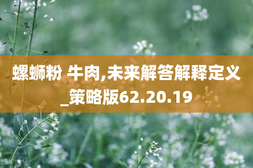 螺蛳粉 牛肉,未来解答解释定义_策略版62.20.19