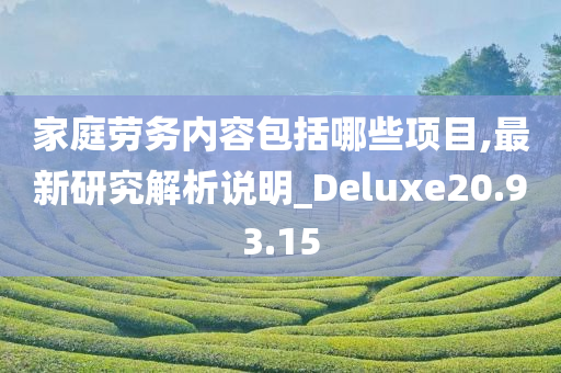 家庭劳务内容包括哪些项目,最新研究解析说明_Deluxe20.93.15