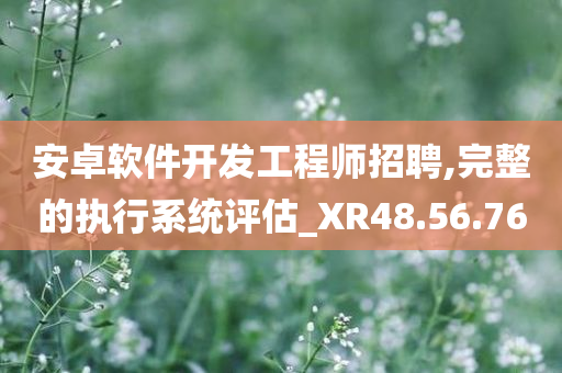 安卓软件开发工程师招聘,完整的执行系统评估_XR48.56.76