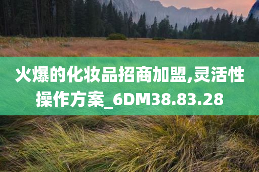 火爆的化妆品招商加盟,灵活性操作方案_6DM38.83.28