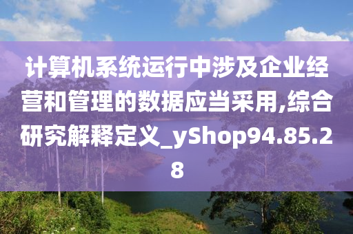 计算机系统运行中涉及企业经营和管理的数据应当采用,综合研究解释定义_yShop94.85.28