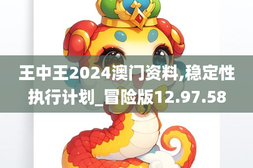 王中王2024澳门资料,稳定性执行计划_冒险版12.97.58