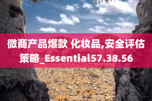 微商产品爆款 化妆品,安全评估策略_Essential57.38.56