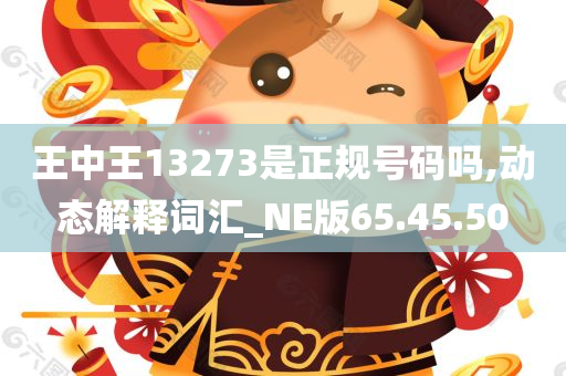 王中王13273是正规号码吗,动态解释词汇_NE版65.45.50