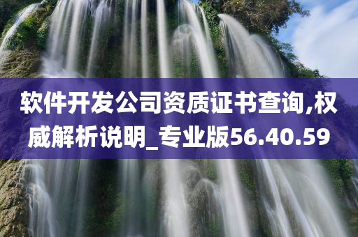 软件开发公司资质证书查询,权威解析说明_专业版56.40.59