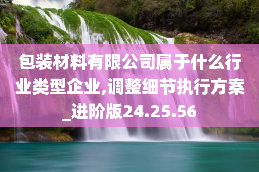 包装材料有限公司属于什么行业类型企业,调整细节执行方案_进阶版24.25.56