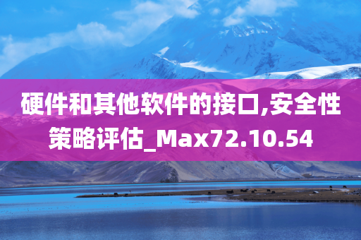 硬件和其他软件的接口,安全性策略评估_Max72.10.54