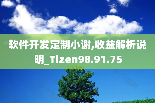 软件开发定制小谢,收益解析说明_Tizen98.91.75