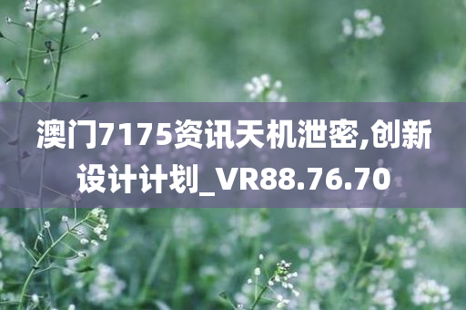 澳门7175资讯天机泄密,创新设计计划_VR88.76.70