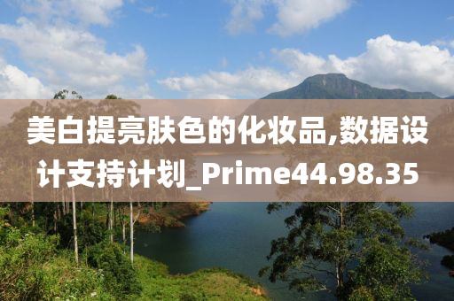 美白提亮肤色的化妆品,数据设计支持计划_Prime44.98.35