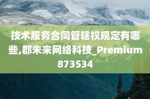 技术服务合同管辖权规定有哪些,郡未来网络科技_Premium873534