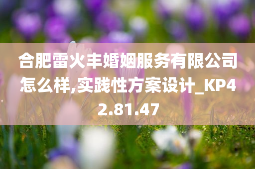 合肥雷火丰婚姻服务有限公司怎么样,实践性方案设计_KP42.81.47