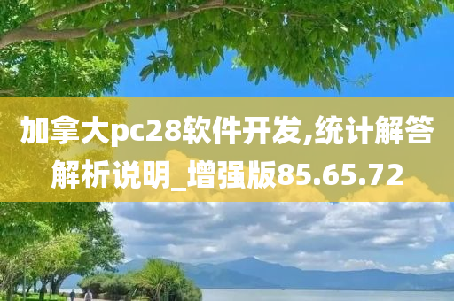 加拿大pc28软件开发,统计解答解析说明_增强版85.65.72