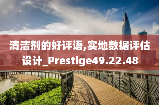 清洁剂的好评语,实地数据评估设计_Prestige49.22.48