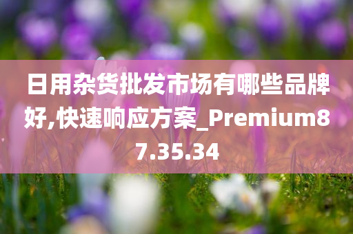 日用杂货批发市场有哪些品牌好,快速响应方案_Premium87.35.34