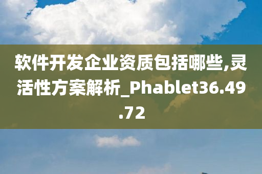 软件开发企业资质包括哪些,灵活性方案解析_Phablet36.49.72