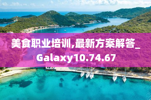 美食职业培训,最新方案解答_Galaxy10.74.67