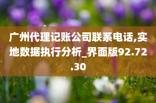 广州代理记账公司联系电话,实地数据执行分析_界面版92.72.30