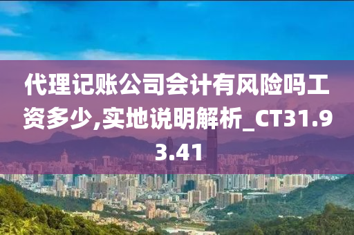 代理记账公司会计有风险吗工资多少,实地说明解析_CT31.93.41