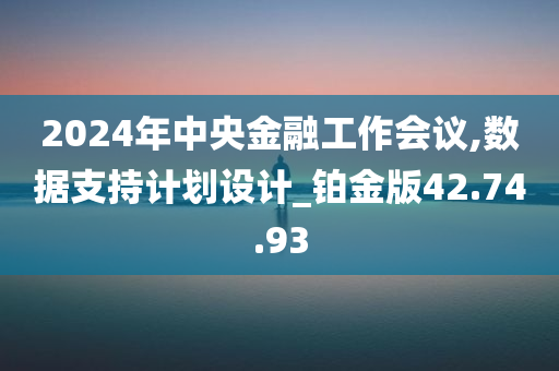 2024年中央金融工作会议,数据支持计划设计_铂金版42.74.93