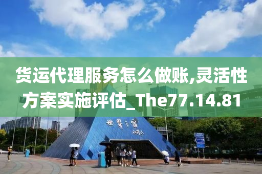 货运代理服务怎么做账,灵活性方案实施评估_The77.14.81