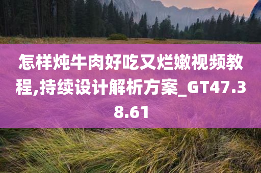 怎样炖牛肉好吃又烂嫩视频教程,持续设计解析方案_GT47.38.61