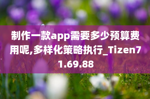 制作一款app需要多少预算费用呢,多样化策略执行_Tizen71.69.88