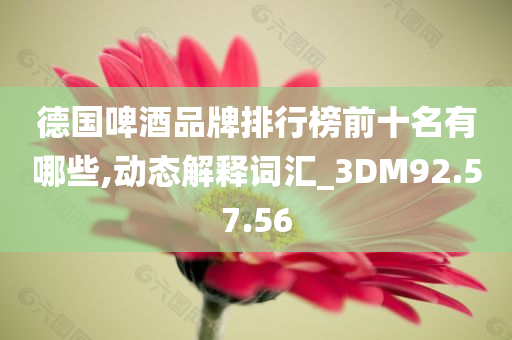 德国啤酒品牌排行榜前十名有哪些,动态解释词汇_3DM92.57.56