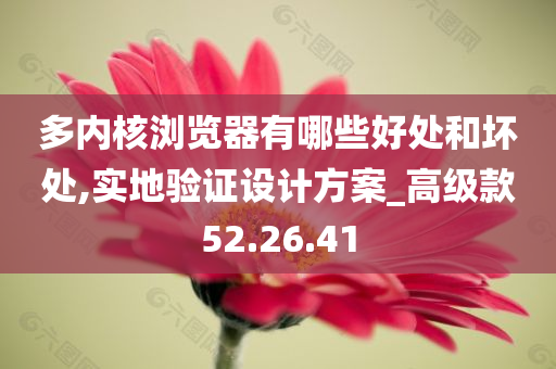 多内核浏览器有哪些好处和坏处,实地验证设计方案_高级款52.26.41