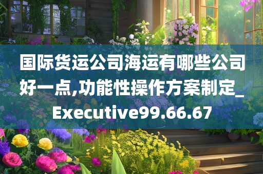 国际货运公司海运有哪些公司好一点,功能性操作方案制定_Executive99.66.67