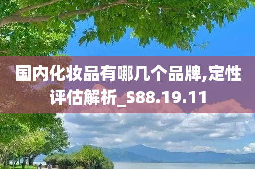 国内化妆品有哪几个品牌,定性评估解析_S88.19.11