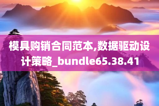 模具购销合同范本,数据驱动设计策略_bundle65.38.41