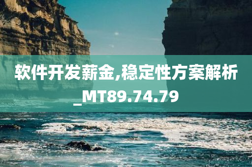 软件开发薪金,稳定性方案解析_MT89.74.79