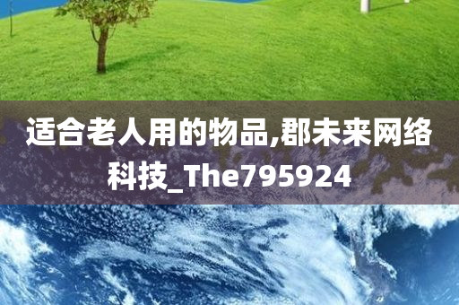 适合老人用的物品,郡未来网络科技_The795924