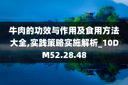 牛肉的功效与作用及食用方法大全,实践策略实施解析_10DM52.28.48