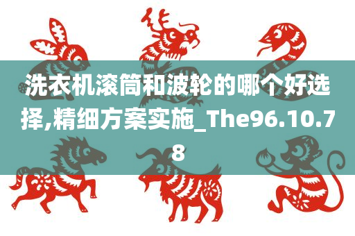 洗衣机滚筒和波轮的哪个好选择,精细方案实施_The96.10.78