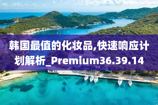 韩国最值的化妆品,快速响应计划解析_Premium36.39.14