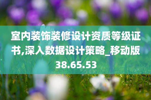 室内装饰装修设计资质等级证书,深入数据设计策略_移动版38.65.53