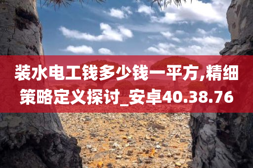 装水电工钱多少钱一平方,精细策略定义探讨_安卓40.38.76