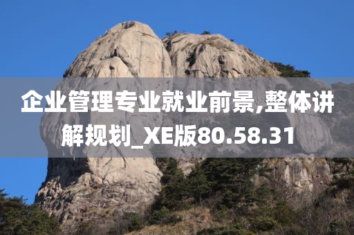 企业管理专业就业前景,整体讲解规划_XE版80.58.31