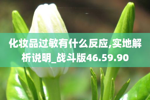 化妆品过敏有什么反应,实地解析说明_战斗版46.59.90