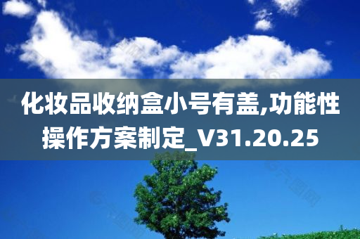 化妆品收纳盒小号有盖,功能性操作方案制定_V31.20.25