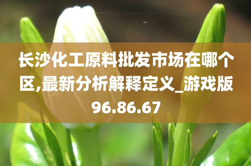 长沙化工原料批发市场在哪个区,最新分析解释定义_游戏版96.86.67