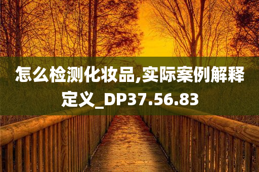 怎么检测化妆品,实际案例解释定义_DP37.56.83