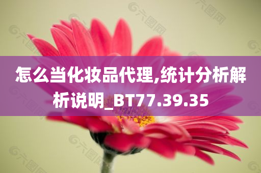 怎么当化妆品代理,统计分析解析说明_BT77.39.35